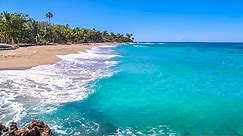 Dominican Beach with Waves Rolling - Natural Background With Ocean Sounds