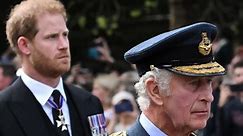 Prince Harry Addresses Rumor James Hewitt Is His Father