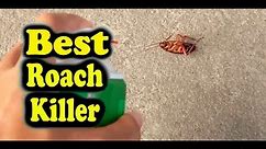 Consumer Reports Best Roach Killer : The Top 5