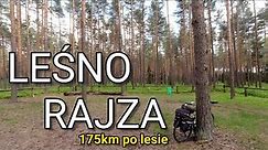 Leśno Rajza - 175km rowerem po lesie | CC: ENG