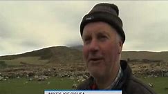 Irish Farmers Glorious Accent Is So Strong Here are the subtitles!!