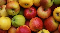 25 (Yes 25!) Types of Apples You Need to Enjoy This Fall