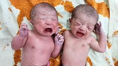 Cutest Twin Newborn babies from day one to 1 year