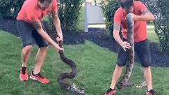 Man Mishandles Snake Leading To Deadly Attack; Viral Video Leaves Internet Petrified