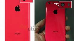 iPhone 6C : photos d'une coque comparée à l'iPhone 5C