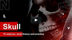 Skull 7h webinar - theory + practice