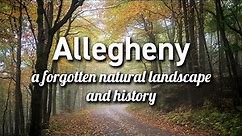 Allegheny National Forest (Pennsylvania)