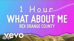 Rex Orange County - What About Me (Lyrics) | 1 HOUR