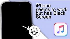 How to Fix iPhone Screen Black but Still Working? [3 Solutions]