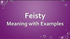 Feisty Meaning with Examples