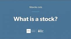 Stocks 101 - What is a stock?