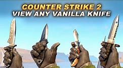 CS2 How To Play With Any Vanilla Knife