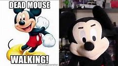 Mickey Mouse Reads Mickey Mouse Memes!