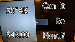 How to Fix the No Picture Issue on a Visio M50-C1 4K TV.... You wouldn't believe what the fix was!