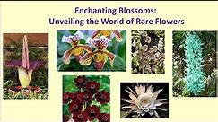 The World's Rarest Flowers:Unveiling the World of Rare Flowers/How Well You Know