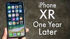 iPhone XR: One Year Later! (Review)