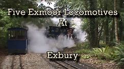 5 Exmoor Locomotives At Exbury