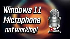 Fix Microphone Not Working on Windows 11 [2024]
