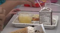 USDA offers new nutrition standards guidelines for school meals