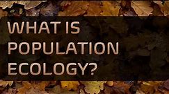 What is Population Ecology?
