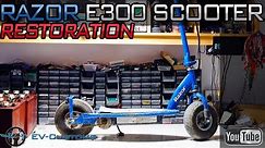 Razor Scooter E300 Restoration 250Watt 24Volt