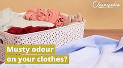 How To Remove Damp Smell From Clothes And Get Rid Of Musty Odours | Cleanipedia