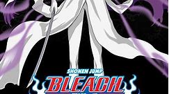 Bleach (English Dubbed): Season 11 Episode 305 305