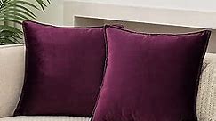 JIAHANNHA Velvet Purple Throw Pillow Covers Pack of 2 Spring Decorative Soft for Couch Sofa Bed Livingroom Office 18×18 Inches