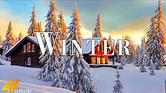 Winter 4K Ultra HD • Stunning Footage Snow Winter, Scenic Relaxation Film with Calming Music.