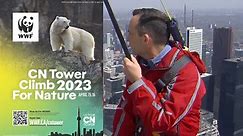 How climbing the CN Tower this weekend can help preserve endangered wildlife