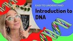 Introduction to DNA structure