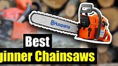 10 Best Beginner Chainsaws in 2024