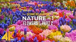 Incredible Nature in 4K UHD - Season 1; Episode 2 - Amazing FLOWERS in Bloom (nature sounds)