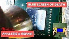 Nintendo Switch Lite - Blue Screen Of Death (BSOD) - Analysis And Repair
