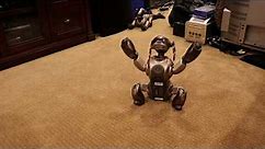Sony AIBO ERS-7 Booting Mind 1 & Motion Check