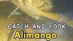 Catch and cook alimango