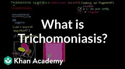 What is trichomoniasis? | Infectious diseases | NCLEX-RN | Khan Academy