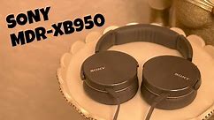Sony MDR-XB950 Review