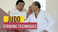 Judo's striking techniques (Atemi Waza) 当身, あてみ