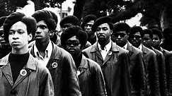 The legacy of the Black Panthers