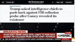 Trump asked intel chiefs to push back on FBI