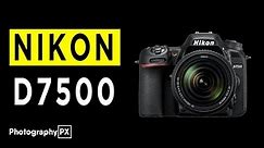 Nikon D7500 DSLR Camera Highlights & Overview