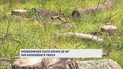 Kinnelon man could be out $1.4 million after neighbor cuts down 32 of his trees