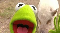 Kermit's Swamp Years Teaser Trailer