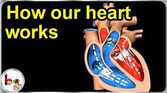 How our heart works – Structure and function (3D animation) - In English