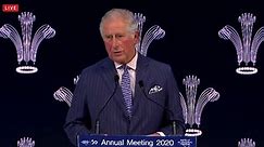 Prince of Wales urges climate change action at Davos summit