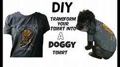 DIY| Transform your Tshirt into a Doggy Tshirt