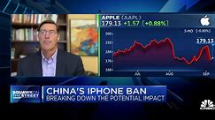 China is not the only thing fueling investor concerns about Apple, says Bernstein's Toni Sacconaghi