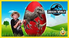Giant Dinosaur Surprise Egg Opening! Jurassic World Indominus Rex & T-Rex Dinosaurs with Kids Toys