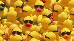 Duck Derby takes over Chicago River for a good cause